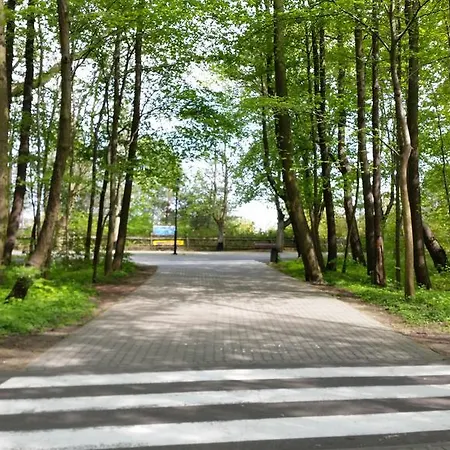 Appartamento Apartament Molo