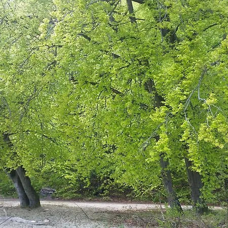 Appartamento Apartament Molo *